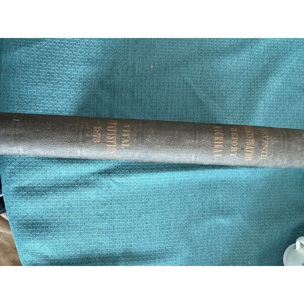 Seventh Annual Report Michigan Vital Statistics 1873 Hardcover